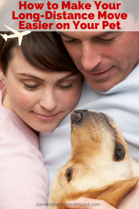 4 Ways To Make Your LongDistance Move Easier On Your Pet