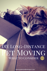 Can I Move My Pet On My Own?