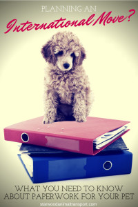 paperwork needed for dog relocation to another city or country  http://starwoodanimaltransport.hs-sites.com/blog/what-paperwork-do-i-need-for-my-pets-relocation-to-another-city-or-country/ @starwoodpetmove