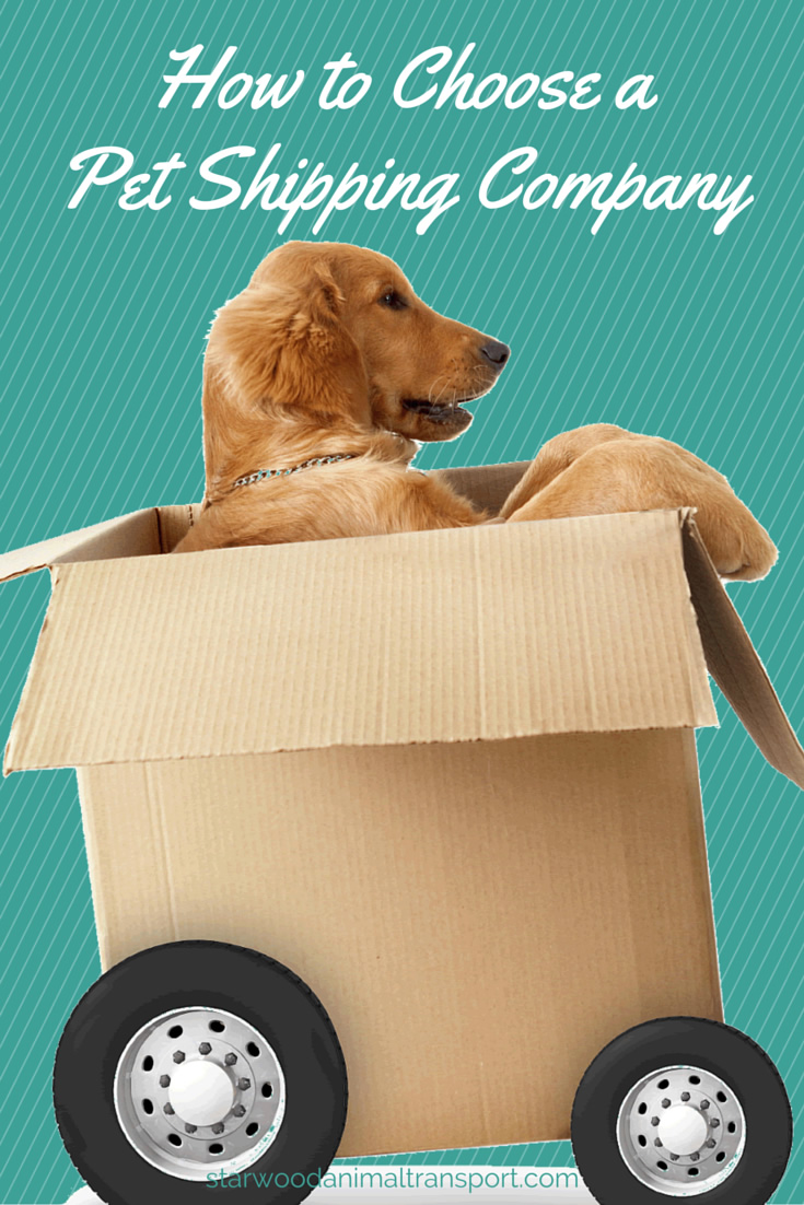 How To Choose A Pet Shipping Company