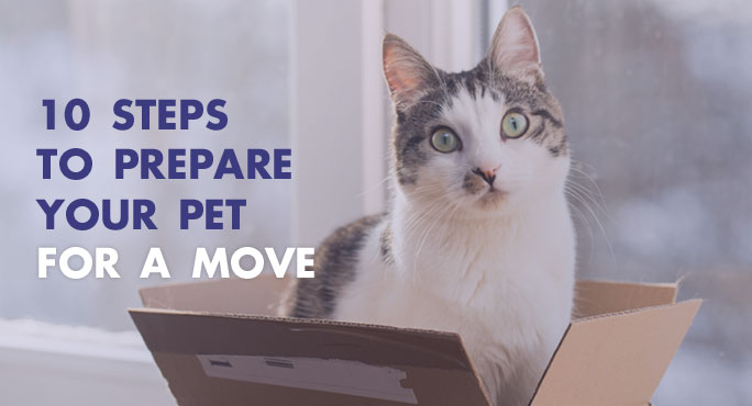 How to to prepare your pet for a move.