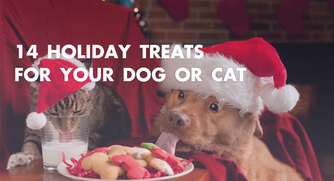 14 holiday treats for your dog and cat 