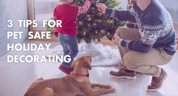 3 Tips For Pet Safe Holiday Decorating http://www.starwoodanimaltransport.com/blog/3-tips-pet-safe-holiday-decorating