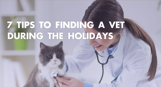 7 Tips To Finding A Vet During The Holidays.