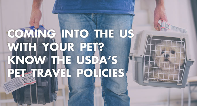 Pet owner coming into the US airport with pet and knowing USDA pet travel policies