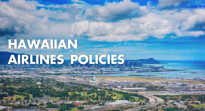 hawaiian airlines dog travel