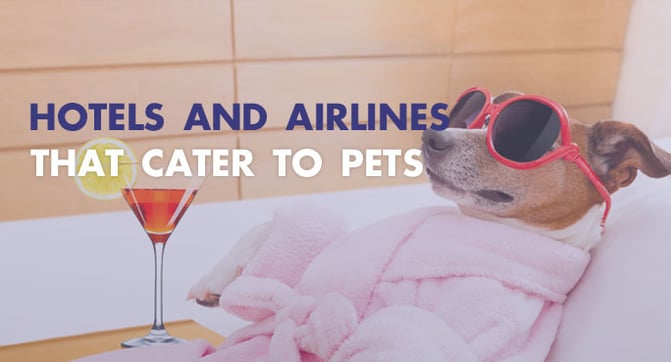 Which hotels and airlines cater to pets.