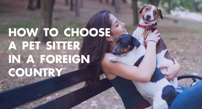 How to Choose a Pet Sitter in a Foreign Country http://www.starwoodanimaltransport.com/blog/how-to-choose-a-pet-sitter-in-foreign-country