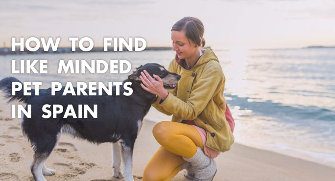 How to Find Like-Minded Pet Parents in Spain http://www.starwoodanimaltransport.com/blog/how-to-find-like-minded-pet-parents-in-spain