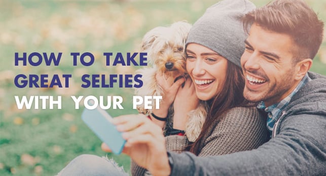How to take great selfies with your pet