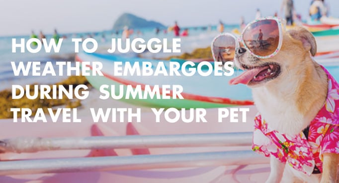 Juggle-Weather-Embargoes-Summer-Travel-Blog.jpg