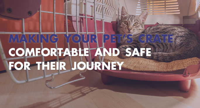 Making Your Pet s Crate Comfortable And Safe For Their Journey making-your-pet-s-crate-comfortable-and-safe-for-their-journey