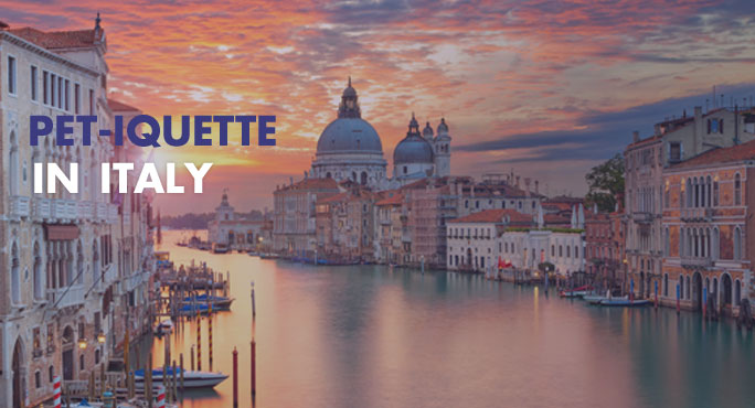 What Is Pet-iquette in Italy?