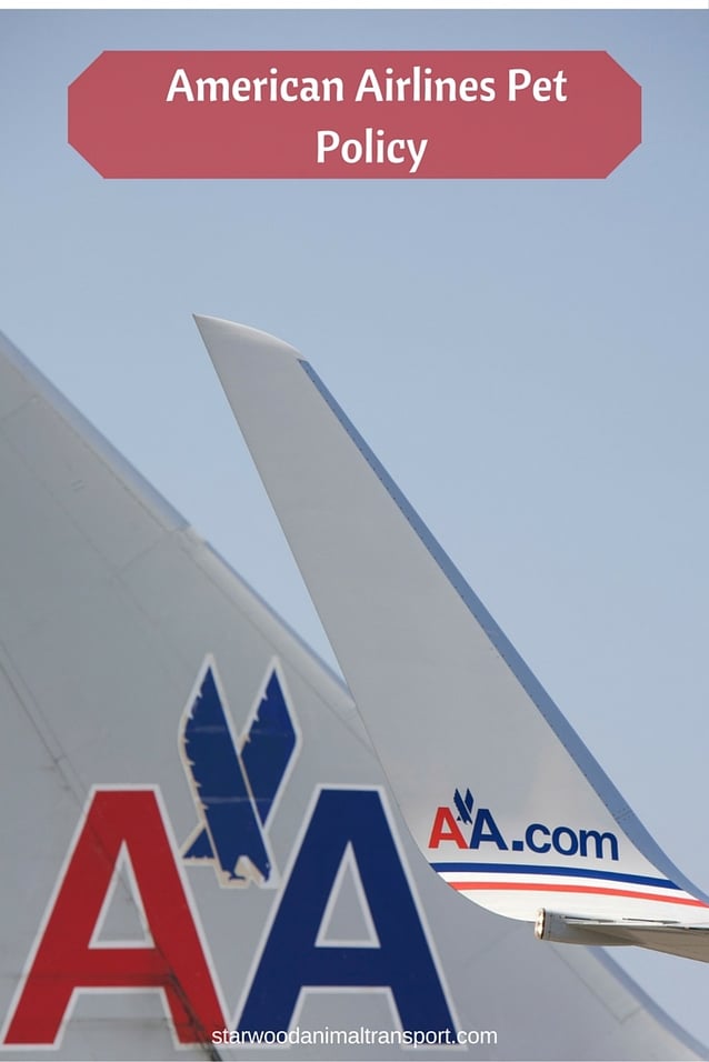 American Airlines Pet Policy