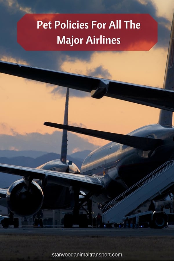 Pet Policies For All The Major Airlines