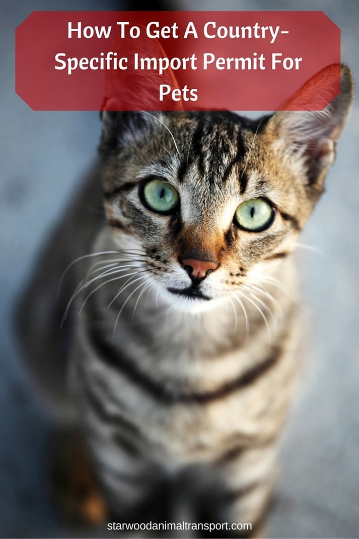 how to a country specific import permit for pets