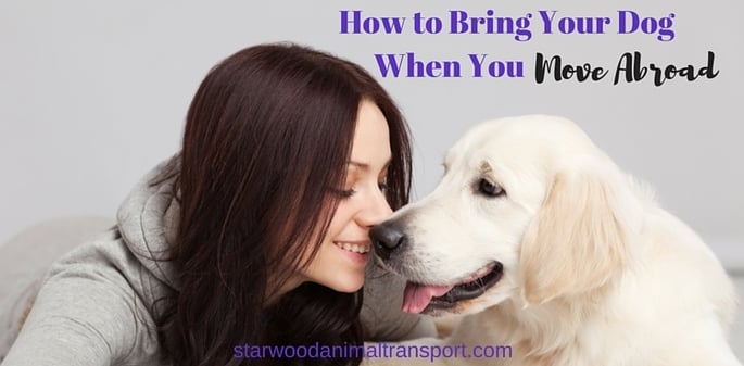 How to Bring Your Dog When You Move Abroad