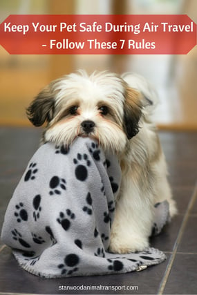 Keep Your Pet Safe During Air Travel - Follow These 7 Rules http://www.starwoodanimaltransport.com/blog/keep-your-pet-safe-during-air-travel-follow-these-7-rules @starwoodpetmove