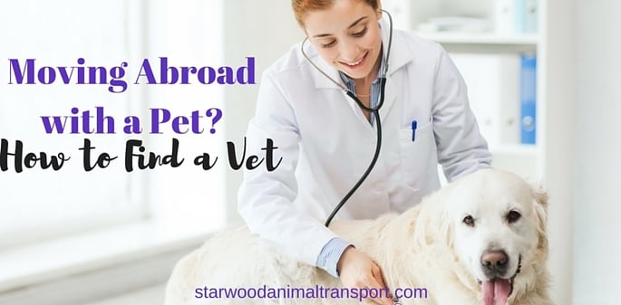 Moving Abroad with a Pet? How to Find a Vet http://www.starwoodanimaltransport.com/blog/moving-abroad-with-a-pet-how-to-find-a-vet @starwoodpetmove