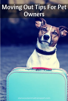 Moving Out Tips For Pet Owners http://www.starwoodanimaltransport.com/blog/starwood-moving-out-tips-for-pet-owners @starwoodpetmove