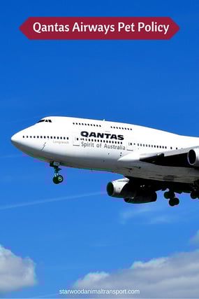 airways qantas pet policy
