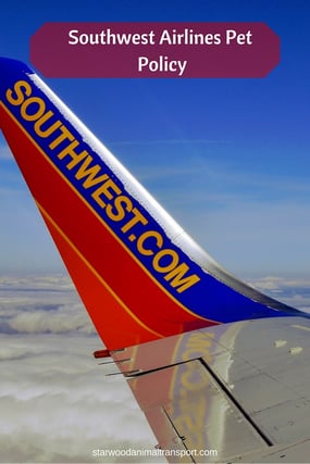 Southwest Airlines aircraft tail and its pet policy