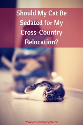 Should My Cat Be Sedated For My Cross Country Relocation
