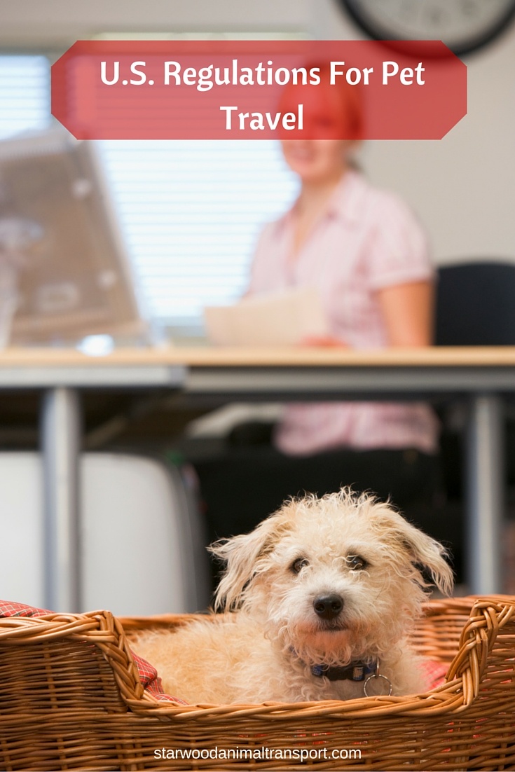 U.S. Regulations For Pet Travel