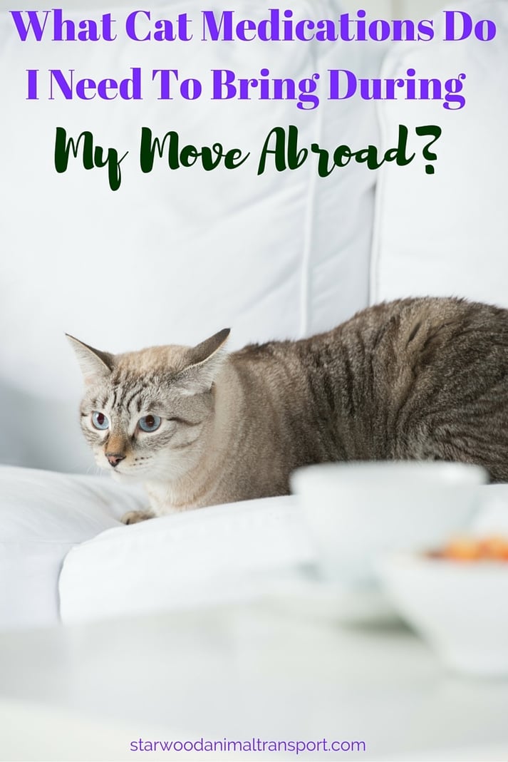 What Cat Medications Do I Need To Bring During My Move Abroad?
