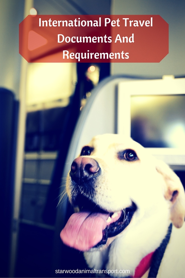 us travel docs requirements