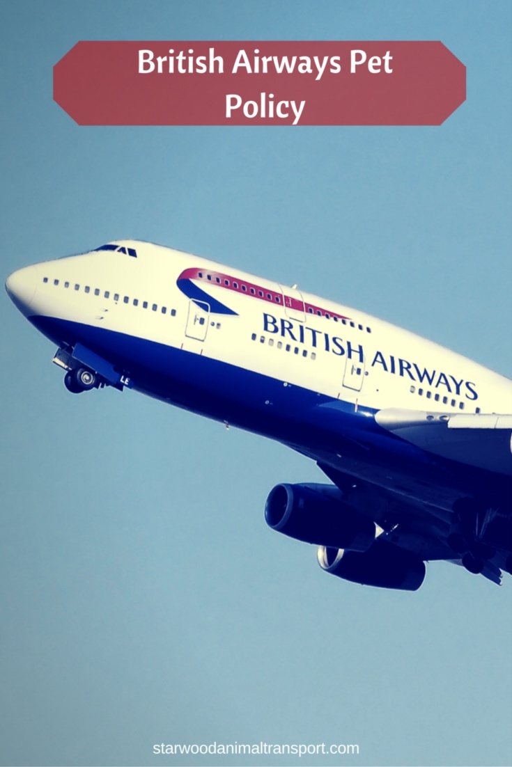 british airways dog travel