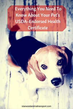  Everything You Need To Know About Your Pet's USDA-Endorsed Health Certificate http://www.starwoodanimaltransport.com/blog/everything-you-need-to-know-about-your-pets-usda-endorsed-health-certificate @starwoodpetmove