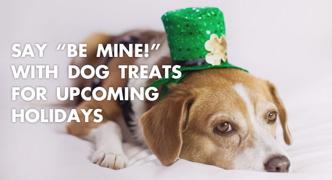 Say “Be Mine!” with Dog Treats for Upcoming Holidays https://www.starwoodanimaltransport.com/blog/say-be-mine-dog-treats-upcoming-holidays