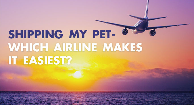 Which Airline Makes It Easiest To Ship A Pet