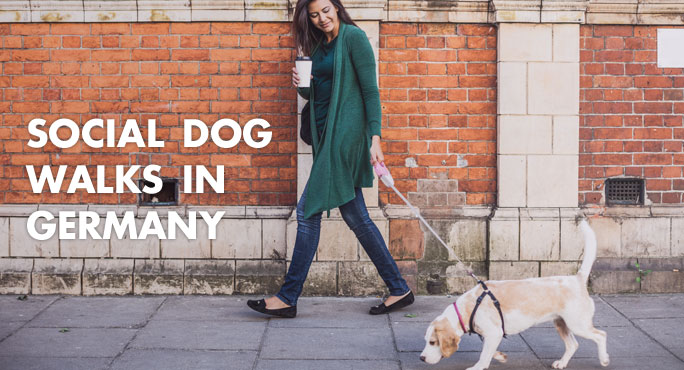 young woman on a social walk with her dog in germany