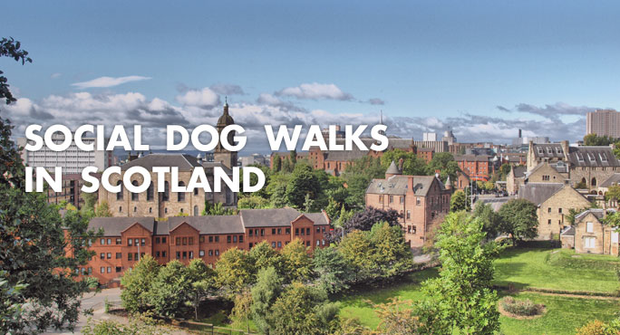 aerial view of Scottish town perfect for social dog walks