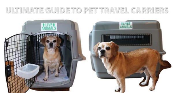 Ultimate Guide To Pet Travel Carriers