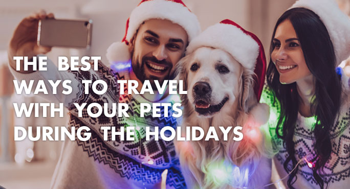 The Best Ways To Travel with Your Pets During The Holidays http://www.starwoodanimaltransport.com/blog/best-ways-to-travel-with-pets-during-holidays
