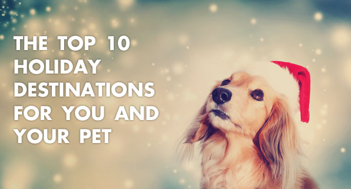 The Top 10 Holiday Destinations for You and Your Pet http://www.starwoodanimaltransport.com/blog/top-10-holiday-destinations-for-you-and-your-pet