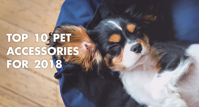 Top 10 Pet Accessories for 2018 http://www.starwoodanimaltransport.com/blog/top-10-pet-accessories-2018