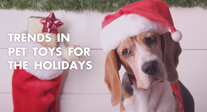 Trends in Pet Toys for the Holidays http://www.starwoodanimaltransport.com/blog/pet-toys-trends-holidays
