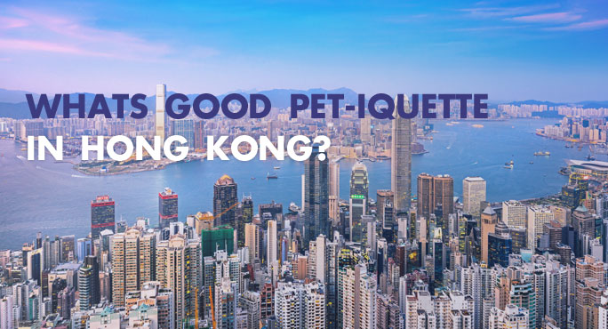 What is Good Pet-iquette in Hong Kong?