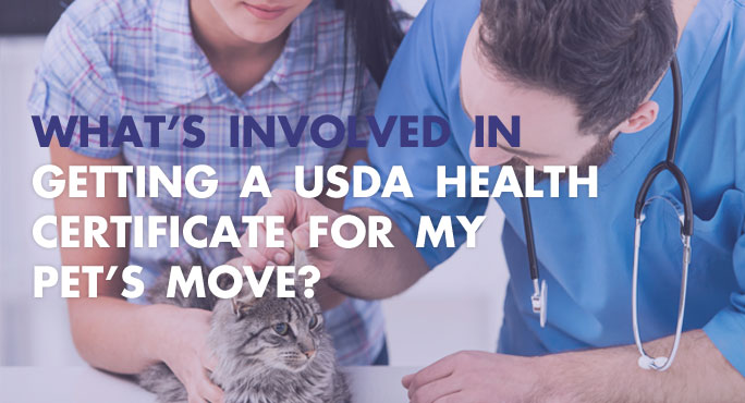 What #39 s Involved in Getting a USDA Health Certificate for my Pet #39 s Move What #39 s Involved in Getting a USDA Health Certificate for my Pet #39 s Move
