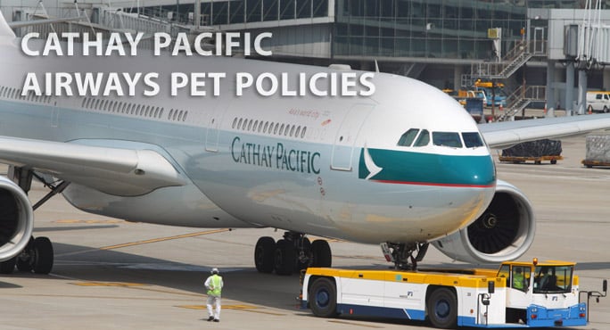 cathay pacific travel with pet