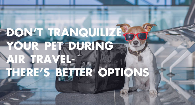 Tranquilize Your Pet During Air Travel 