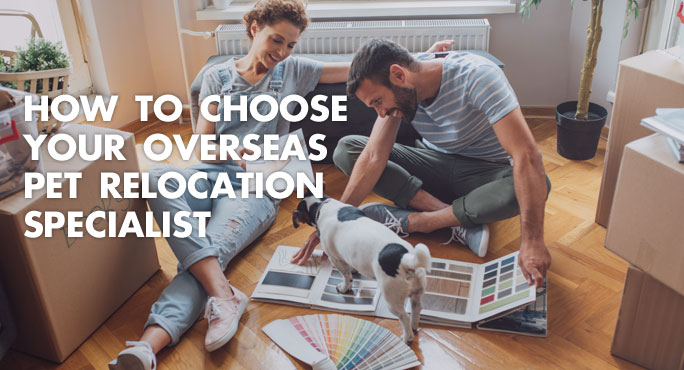 citizen pet shippers