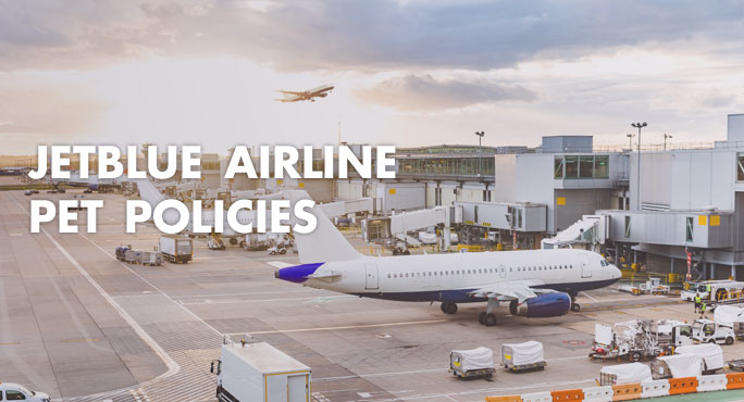 jetblue pet carrier dimensions