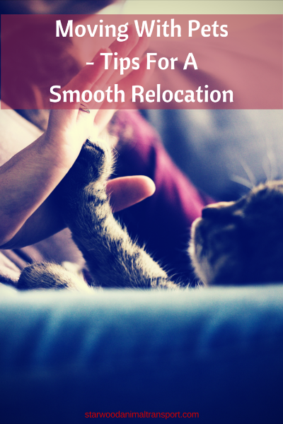 Moving With Pets Tips For A Smooth Relocation