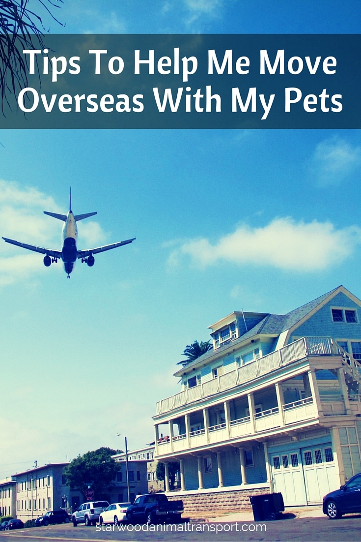 Tips To Help Me Move Overseas With My Pets