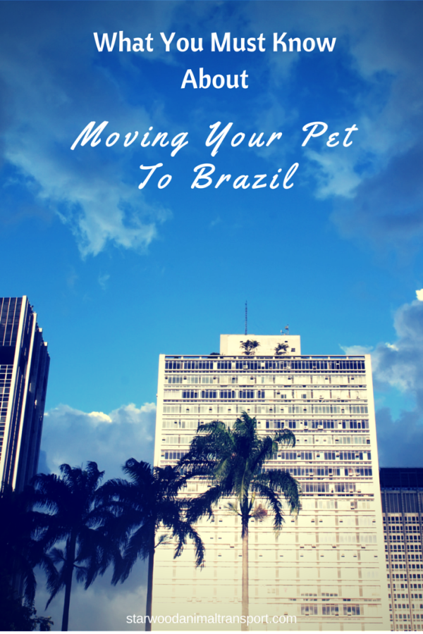 pet travel uk to brazil